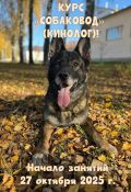 ВНИМАНИЕ! ИНФОРМАЦИЯ ДЛЯ ТЕХ, КТО ЗАПИСАЛСЯ НА КУРС «СОБАКОВОД» (КИНОЛОГ)!