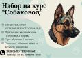 КУРСЫ СОБАКОВОД С ПРИСВОЕНИЕМ КВАЛИФИКАЦИИ «СОБАКОВОД 3 РАЗРЯДА»